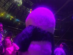 -俄罗斯国家大马戏团