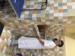 米苏动物医院-米苏动物医院·犬猫专科·骨科外科内窥镜