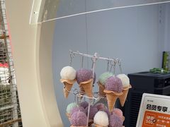 -野人先生现做冰淇淋(北京顺义祥云小镇店)