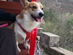 -双龙峡