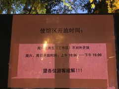 -三里屯东五街银杏大道