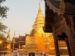 -帕辛寺