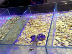 -星海汇海鲜自助烤肉火锅(百大店)