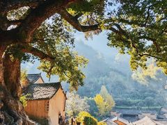 -杨家堂村