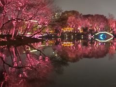 -北湖公园