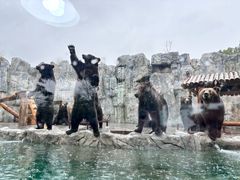 -上海野生动物园