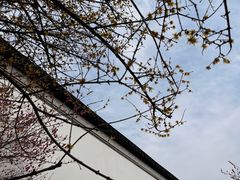 -八大山人梅湖景区