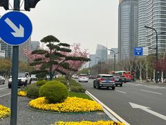 -中南南通体育会展中心