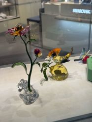 -SWAROVSKI(虹口凯德龙之梦店)