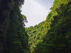 -狮子关旅游区