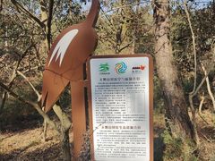 -南京市无想山景区