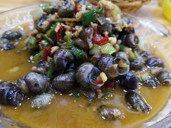 -全乐鱼馆·淳牌有机鱼直营店