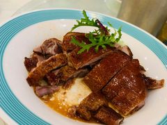 -椿记烧鹅(叠彩店)