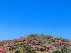 -北京西山国家森林公园