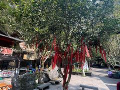 -桂林古东瀑布景区