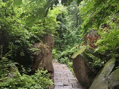 -五女峰国家森林公园