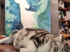 -咖法森林·咖啡  酒吧(天河店)