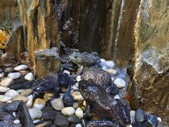 -华英干锅辣鸭头(亚泰大街店)