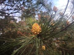 -南京市无想山景区