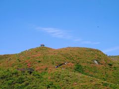 -大围山国家森林公园