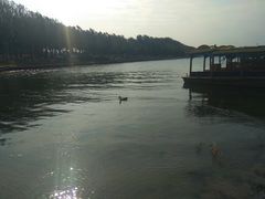 -丁香湖公园