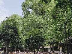 -铁像寺水街