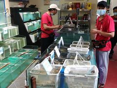 -琼大师东方烤乳猪(亚特兰蒂斯店)