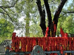 -大槐树寻根祭祖园