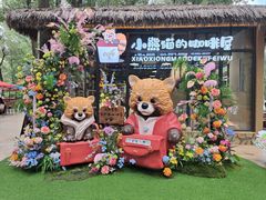 -北京野生动物园