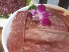 -二荆条·蜀鲜汇城市森林火锅