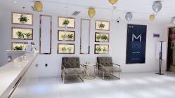 -MIVI野生眉纹绣纹眉