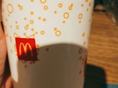 -麦当劳(抚顺东一路店)
