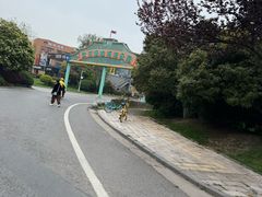 -海合安武汉极地海洋公园