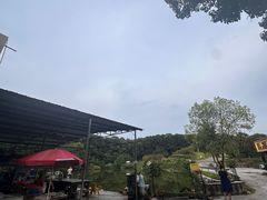 -铁山坪森林公园