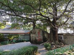 -乌山风景区