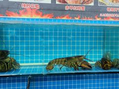 -兆辉木炭海鲜烧烤·海鲜小炒