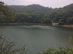 -天花井景区