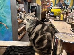 -咖法森林·咖啡  酒吧(天河店)