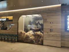 门面-佬肥猫(国华广场店)