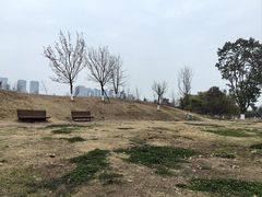 -桂溪生态公园