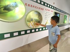 -上海昆虫博物馆