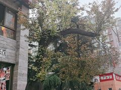 -叁宝烤肉• 西安烧烤(高科新花园店)