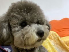 -福州肆爪动物医院