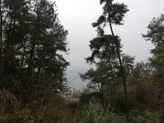 -梦姑塘文化公园