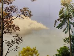 -天津自然博物馆