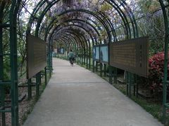 -杭州湾海上花田景区