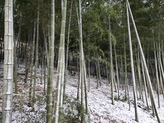 -天目湖涵田度假村