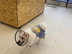 -怪兽屋·羊驼·猫咖·狗咖(俊华广场店)