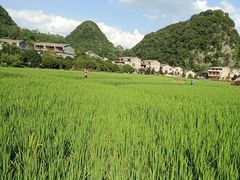 -高荡千年布依古寨旅游景区