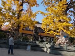 -圆通寺